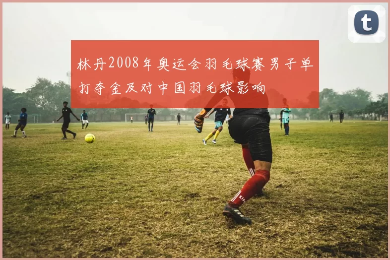 林丹2008年奥运会羽毛球赛男子单打夺金及对中国羽毛球影响