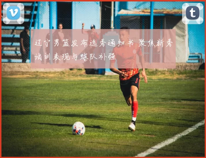 辽宁男篮发布选秀通知书 聚焦新秀试训表现与球队补强