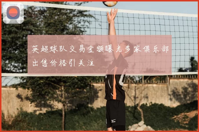 英超球队交易金额曝光多家俱乐部出售价格引关注