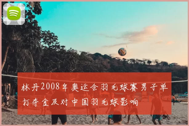 林丹2008年奥运会羽毛球赛男子单打夺金及对中国羽毛球影响