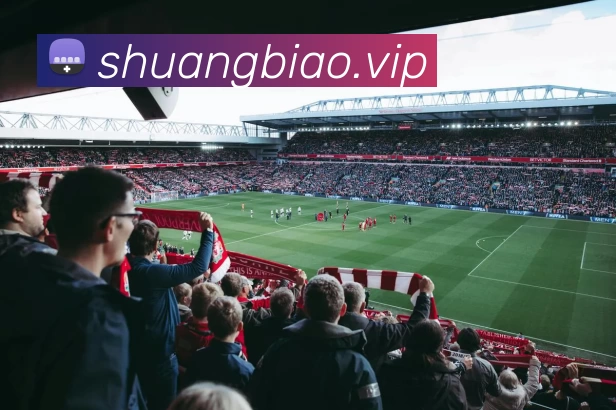 多媒体互动体验