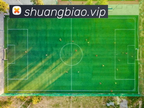 开云手机站登录入口 - 开云online(中国)APP 高清赛事图